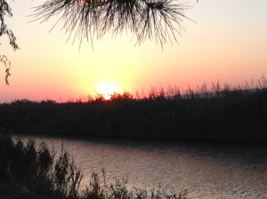 The river by our informal campsite.